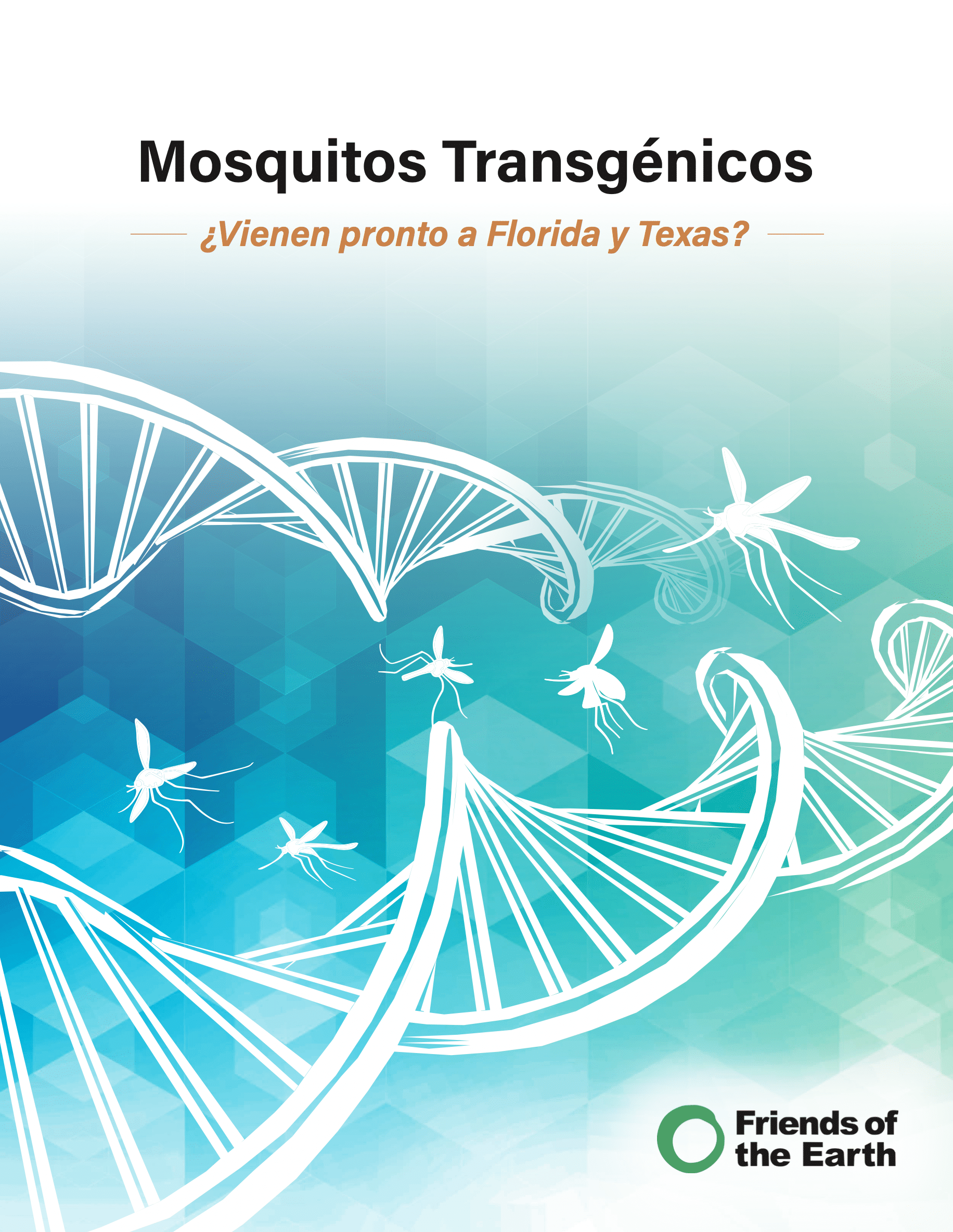 Mosquitos Transgénicos: ¿Vienen pronto a Florida y Texas?