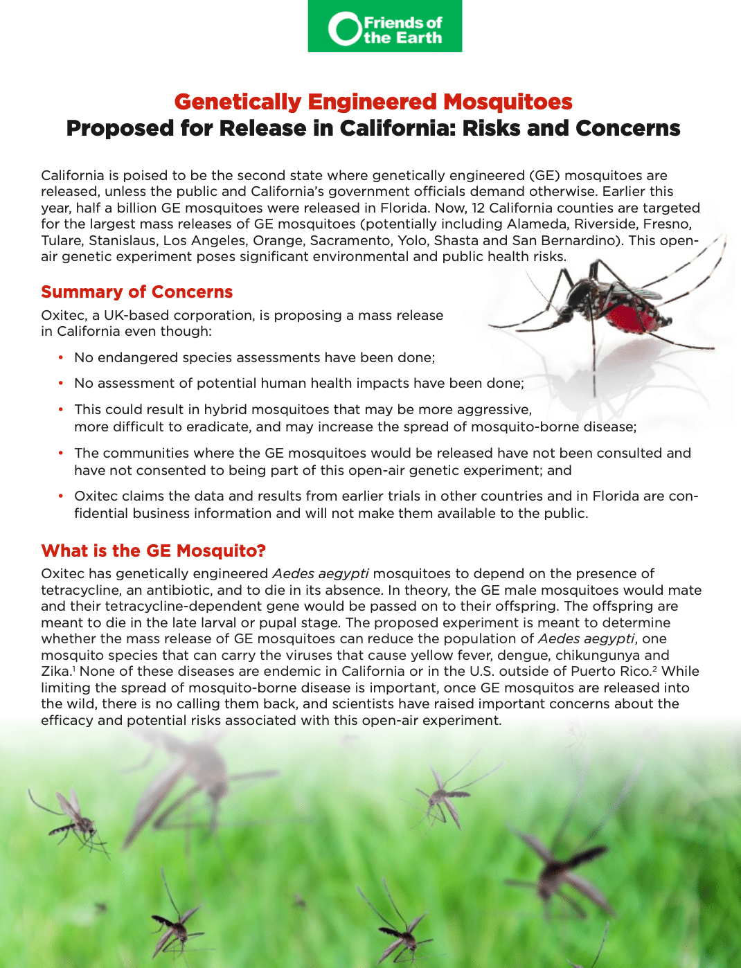 GE Mosquitoes Issue Brief
