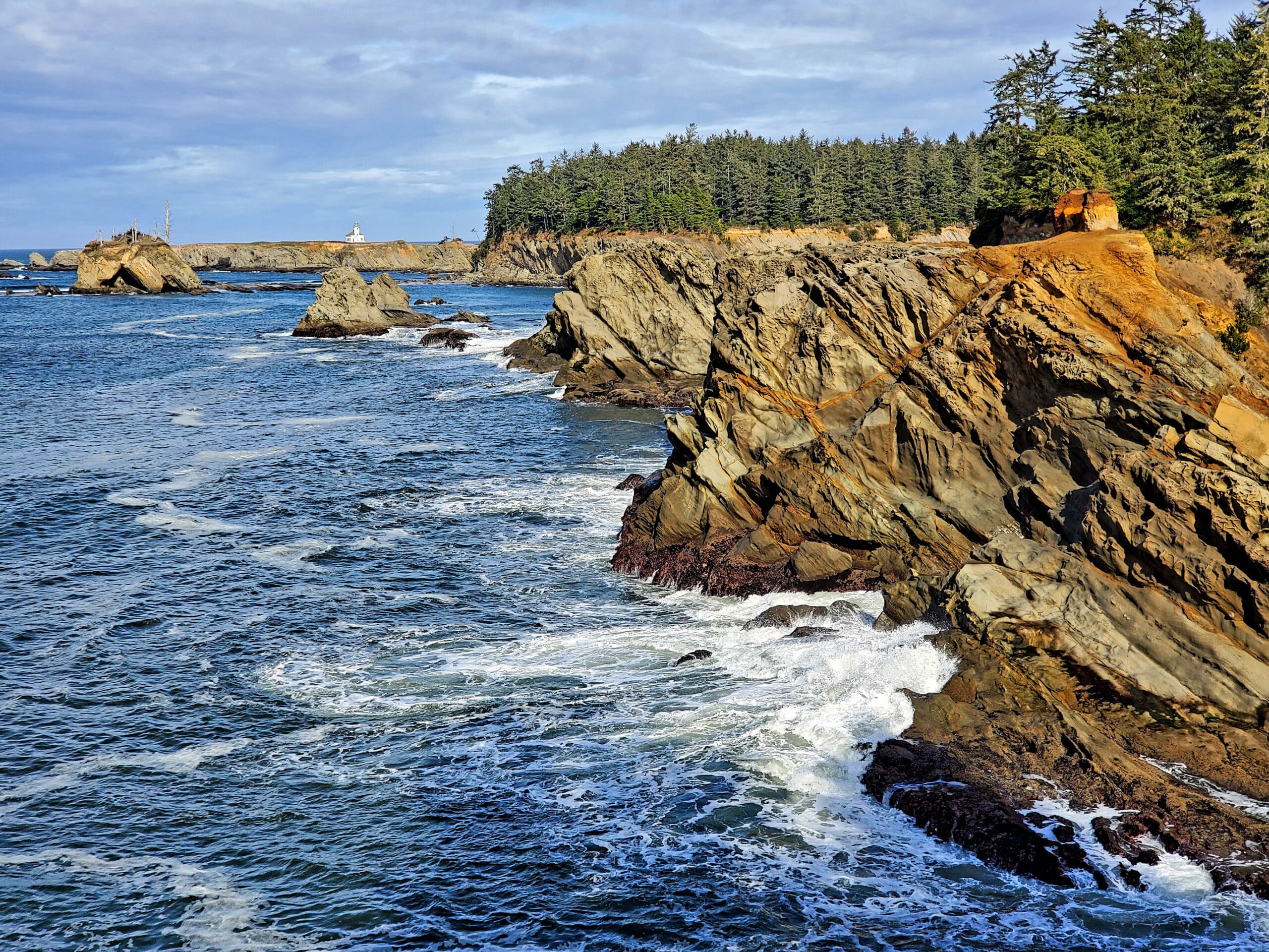 May contain a rocky coastline with waves crashing and a forest in the background.
