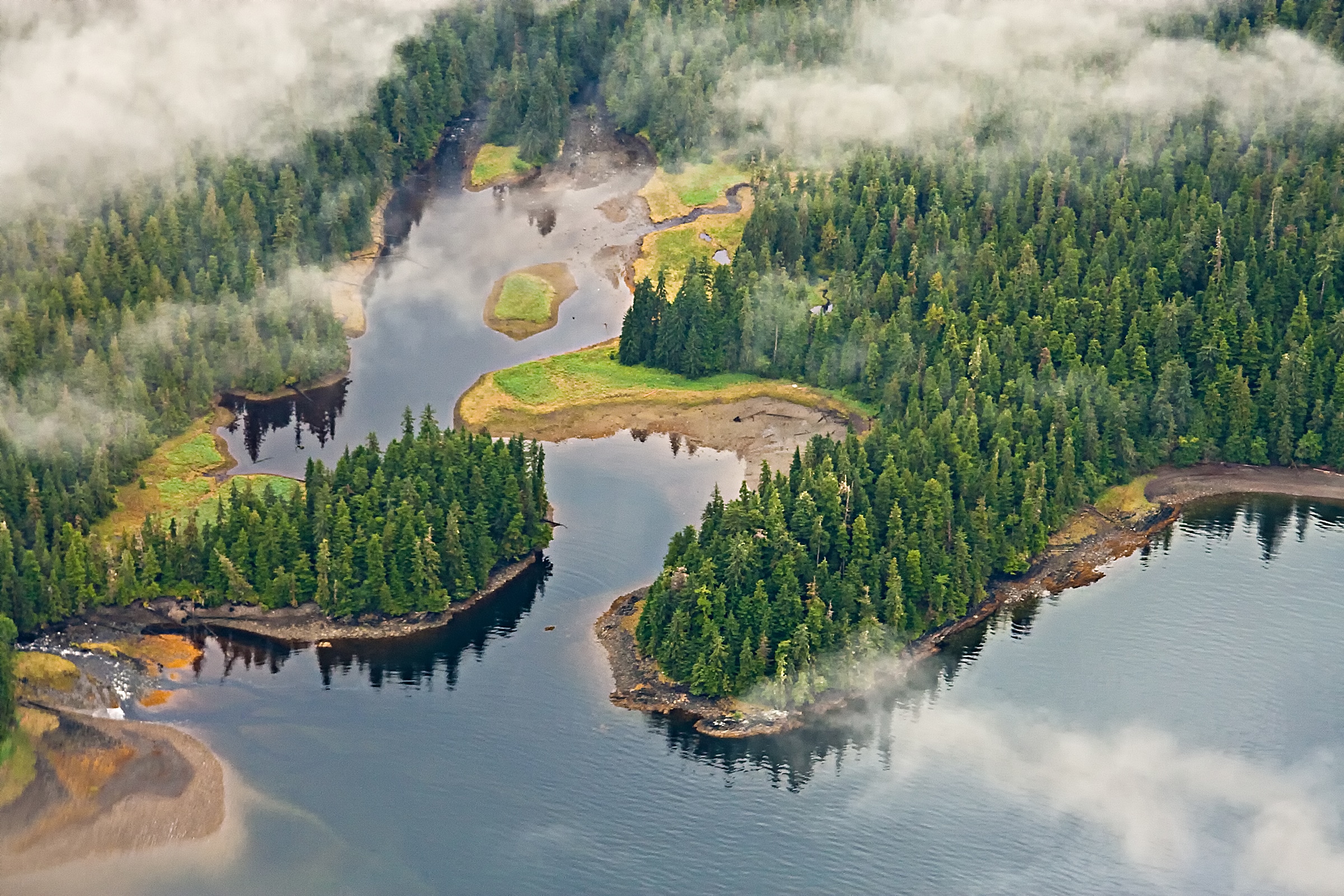 May contain an aerial view of a misty, tree-covered coastline with inlets and water.