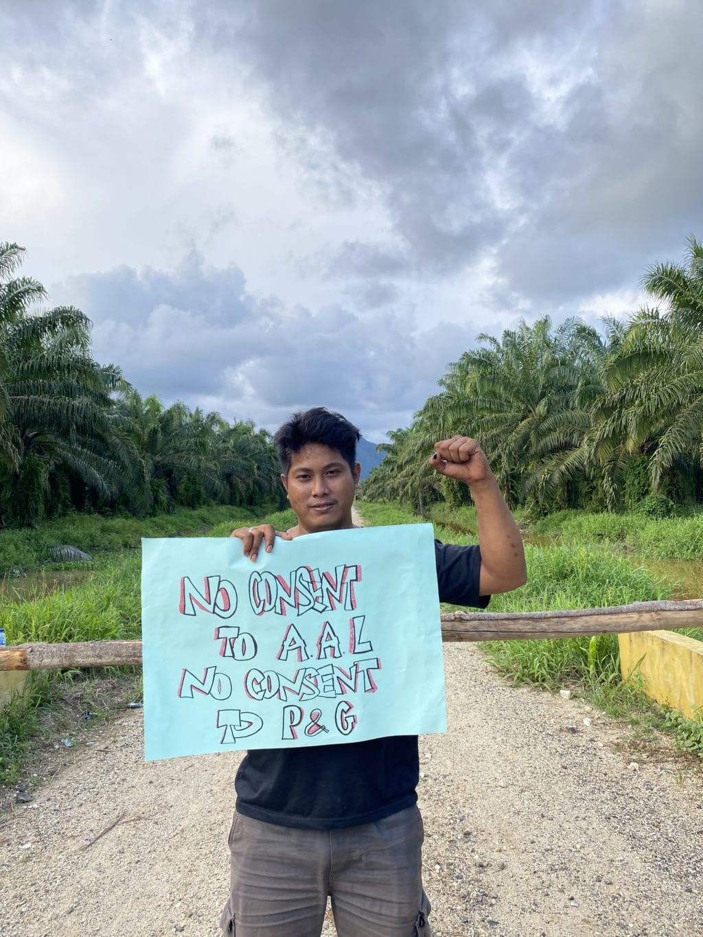 AAL palm oil report photo