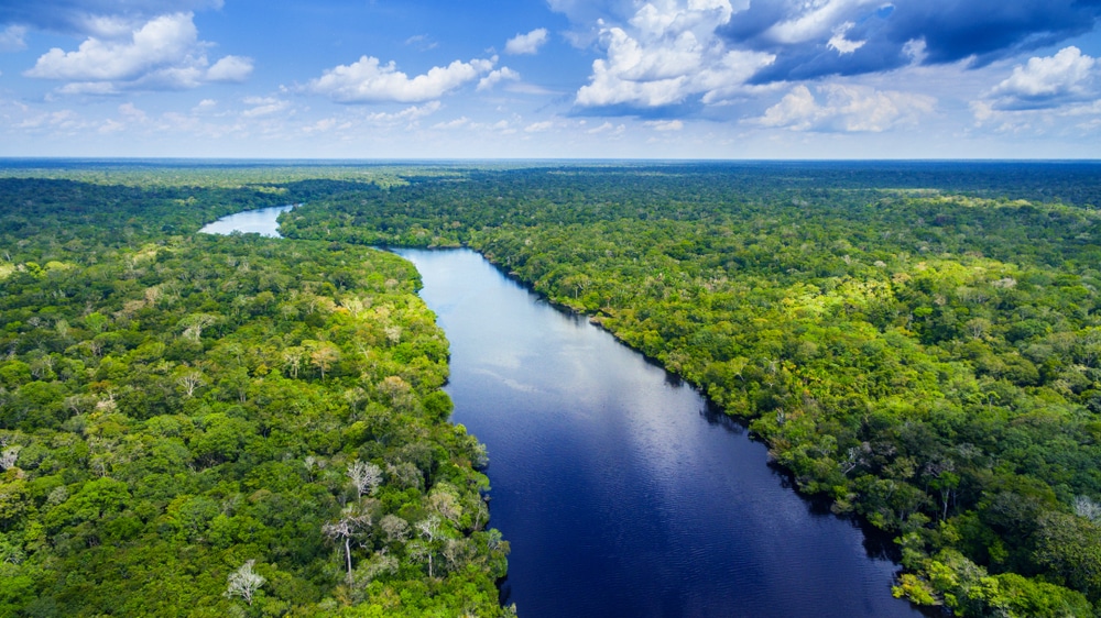NY 'TREES' Act Passes NY Legislature, Heads to Governor's Desk - Vimarsana News