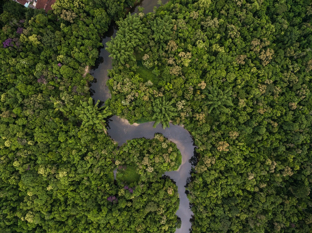 Gov. Hochul, sign the TREES Act now