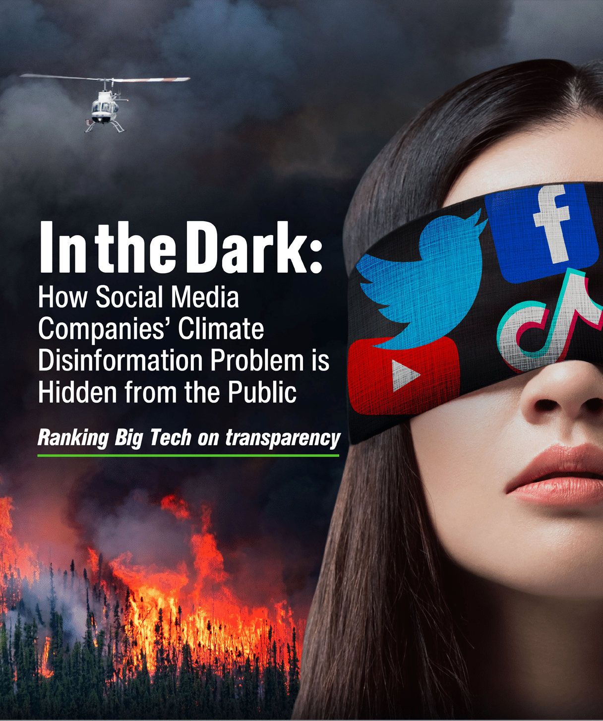 In the Dark: How social media companies’ climate disinformation problem is hidden from the public