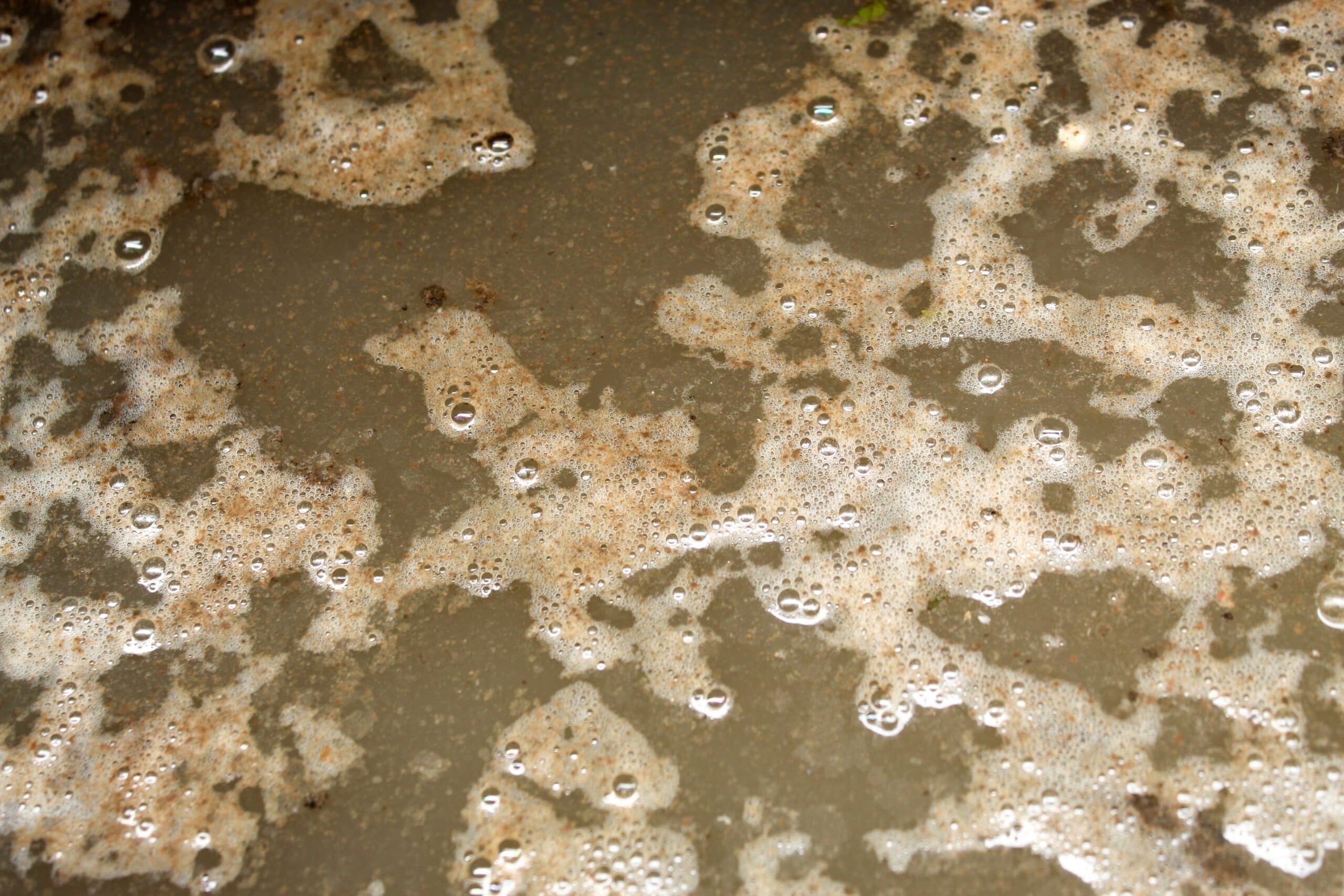May contain a close-up of murky water with foam and bubbles.
