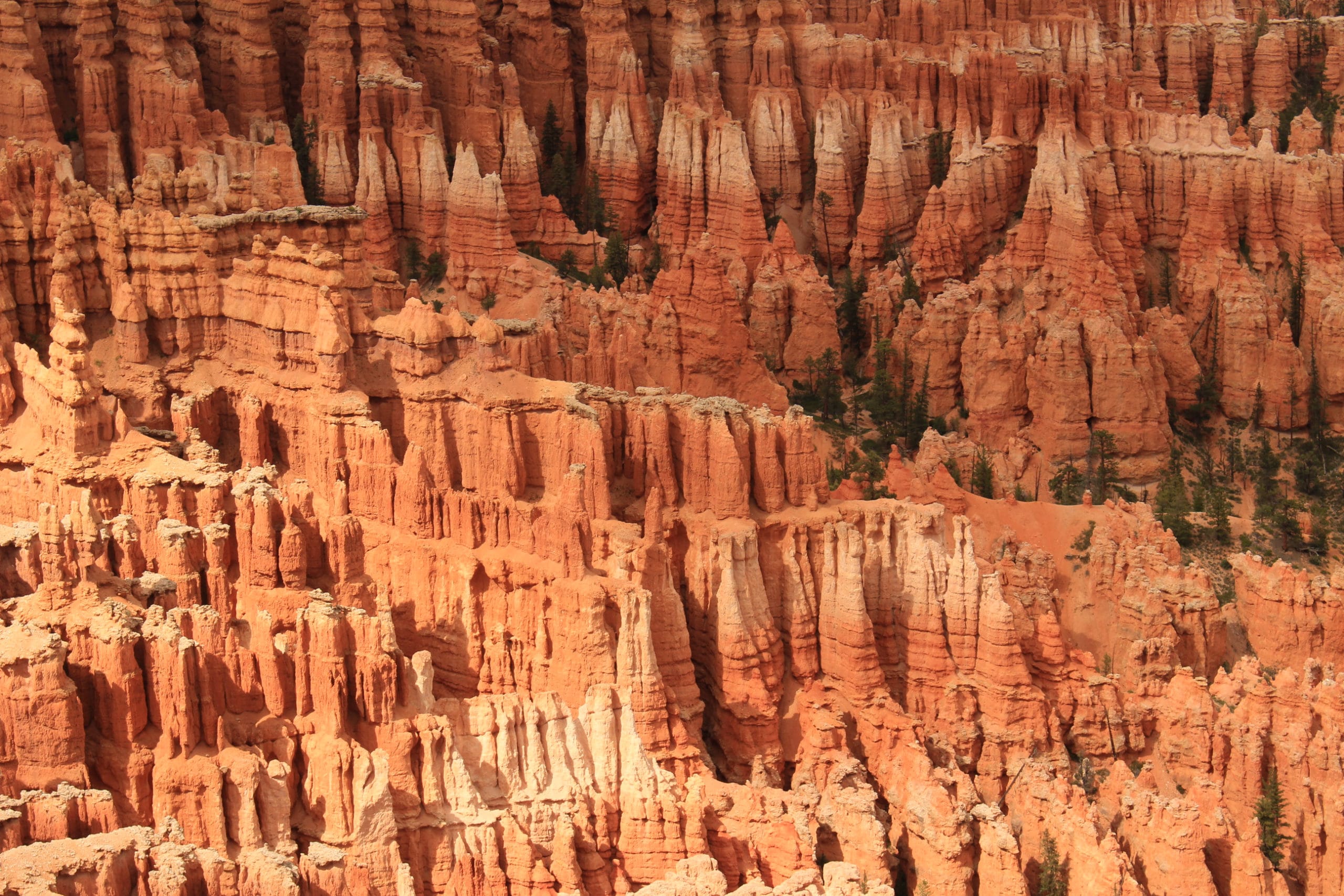 hoodoos Utah