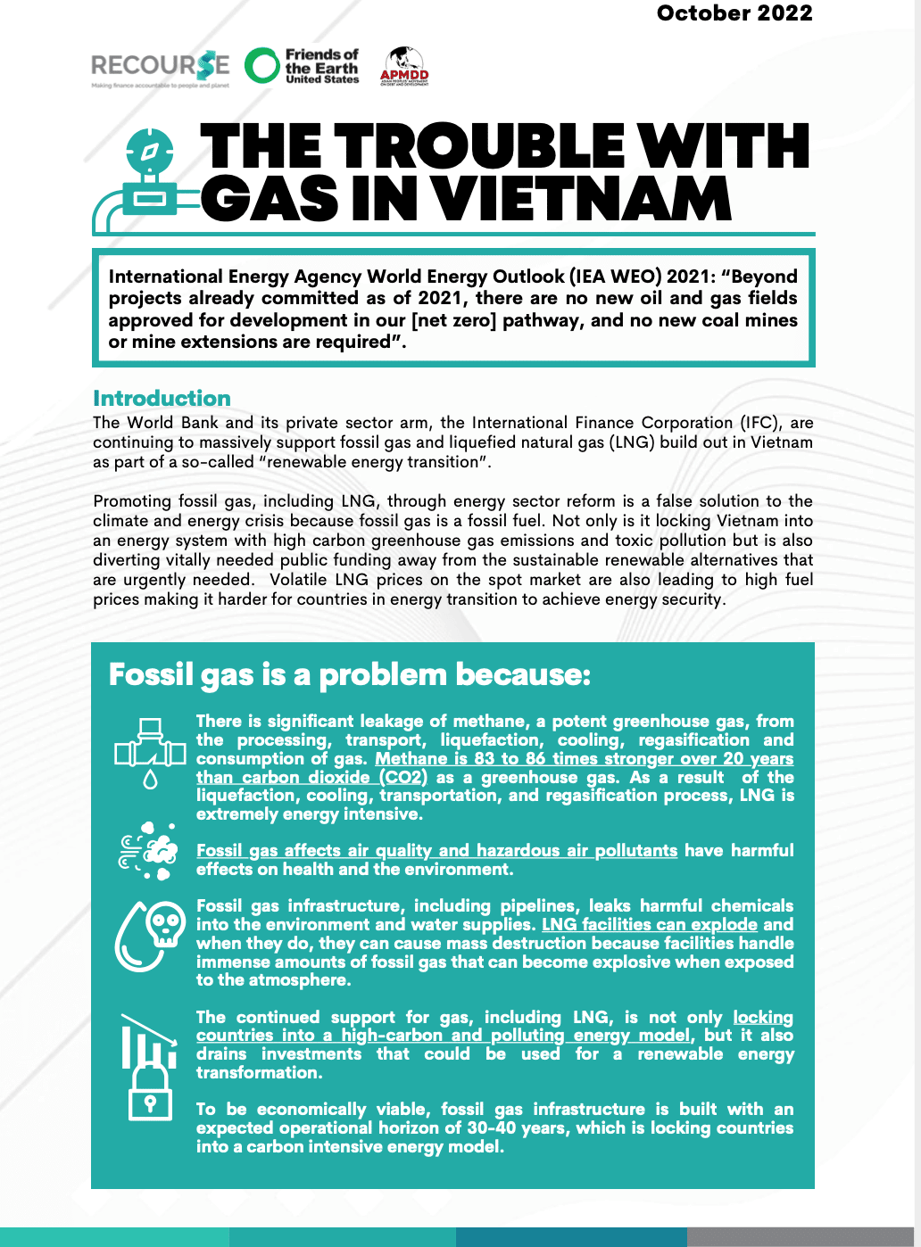 The Trouble With Gas in Vietnam