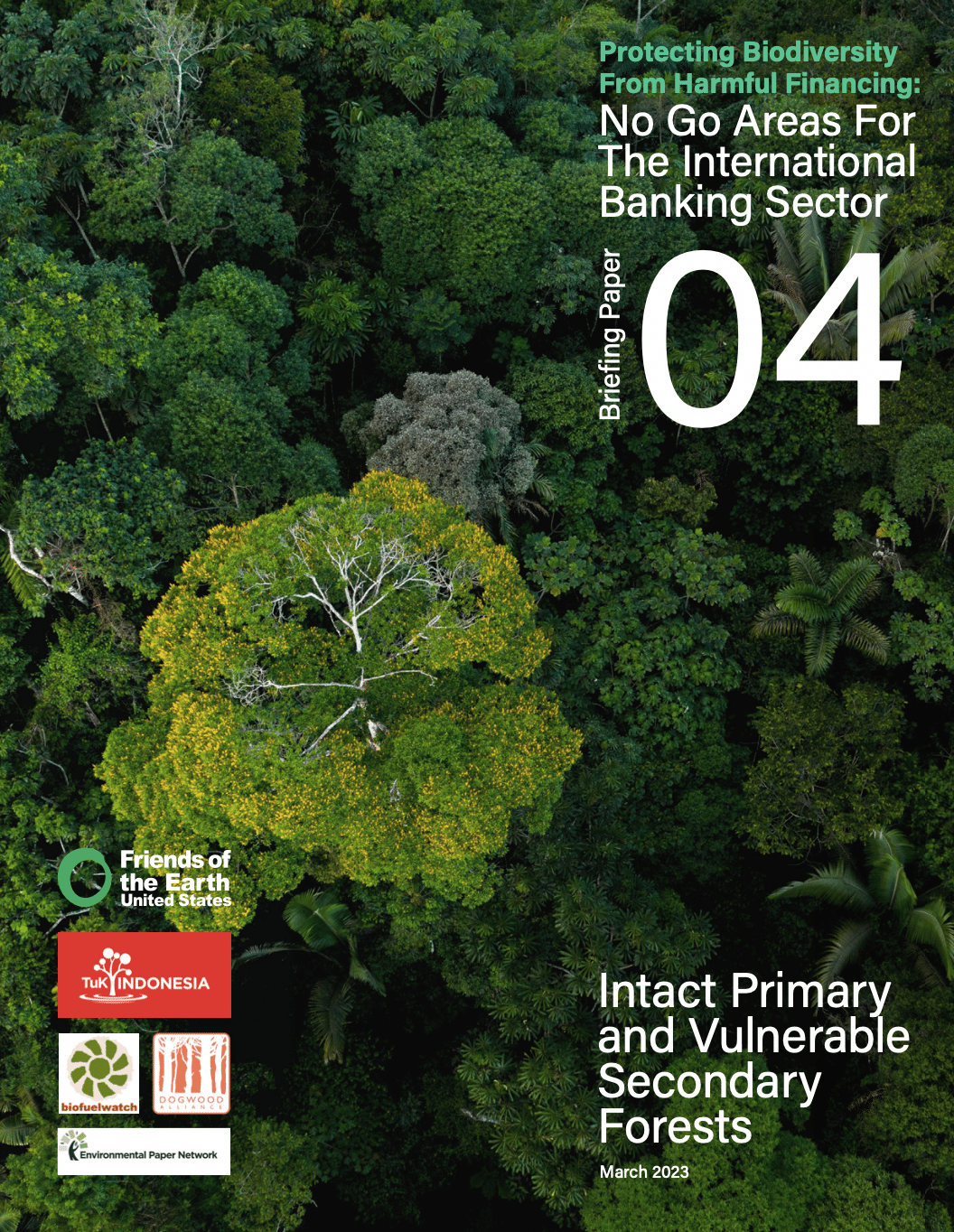On International Forests Day, new briefing paper urges banks and financiers to exclude harmful financing that negatively impacts primary and vulnerable secondary forests