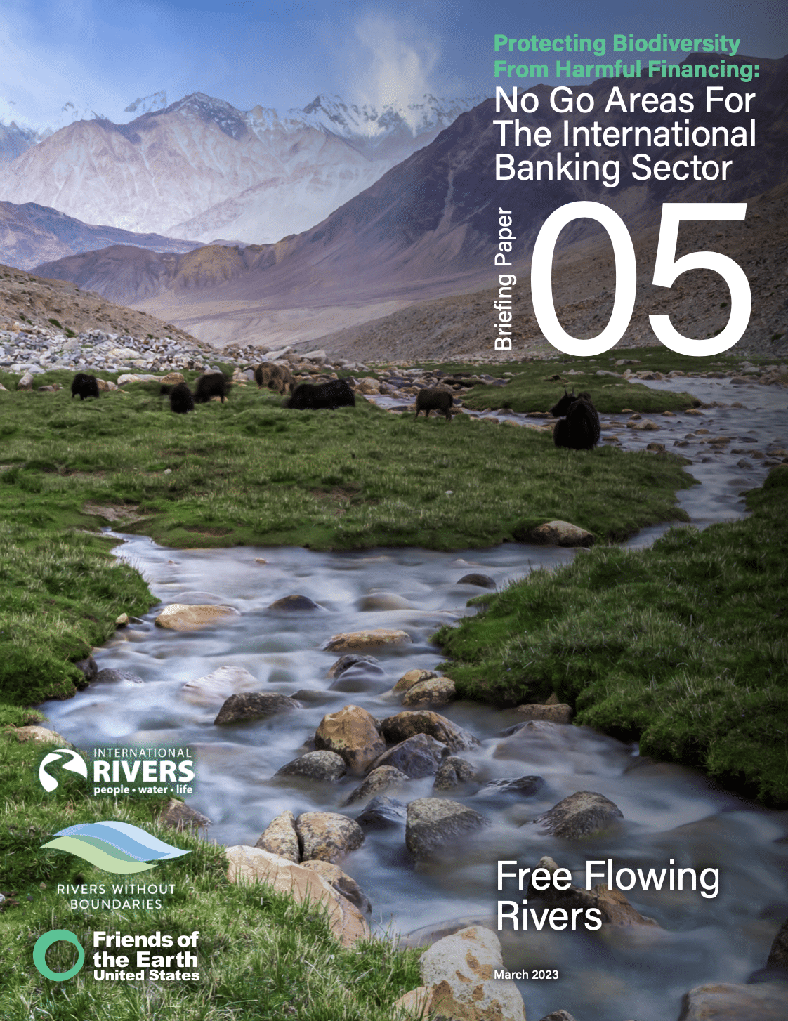 On World Water Day, new briefing paper calls on banks and financiers to prohibit harmful financing to free flowing rivers