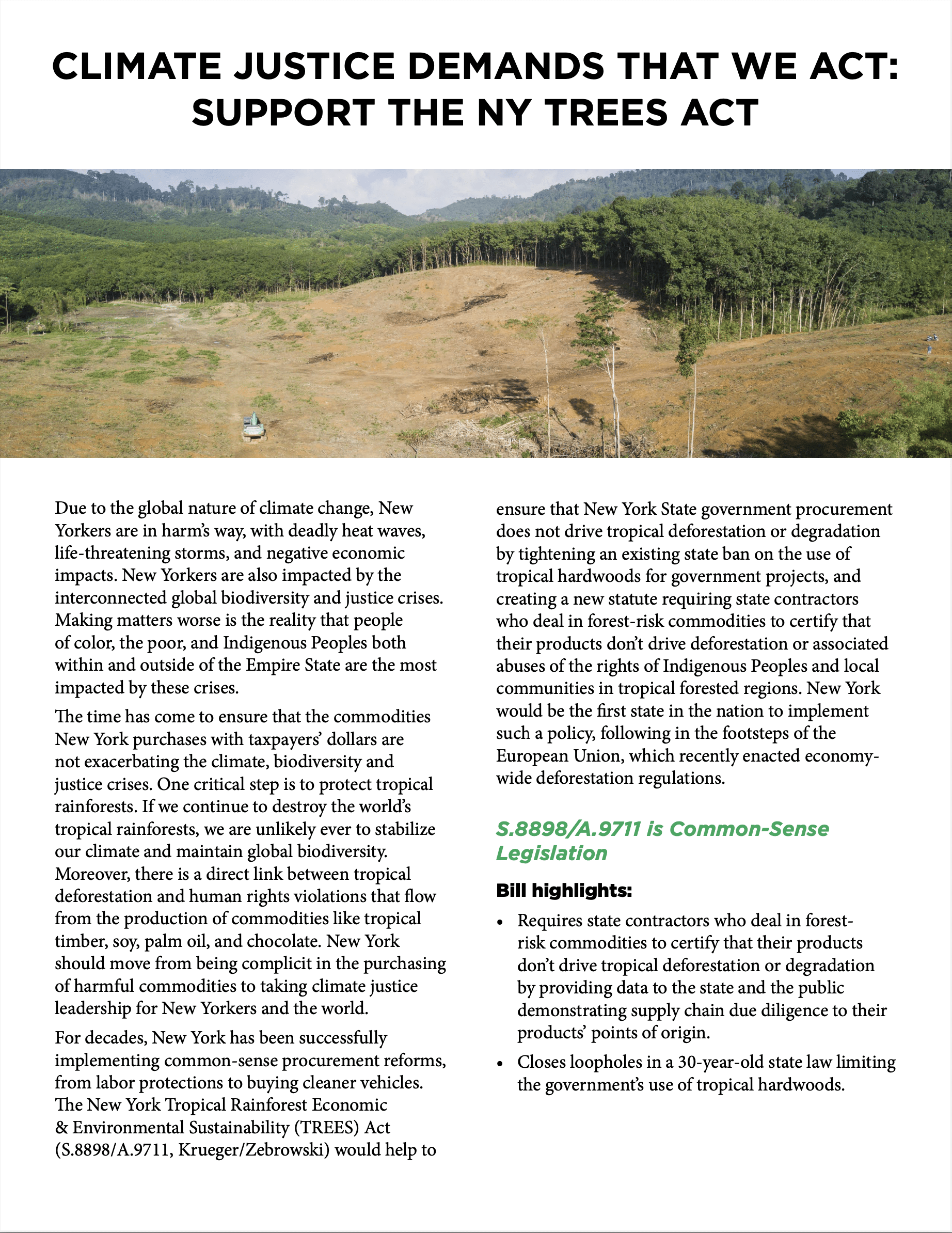 NY Tropical Deforestation-Free Procurement Act fact sheet
