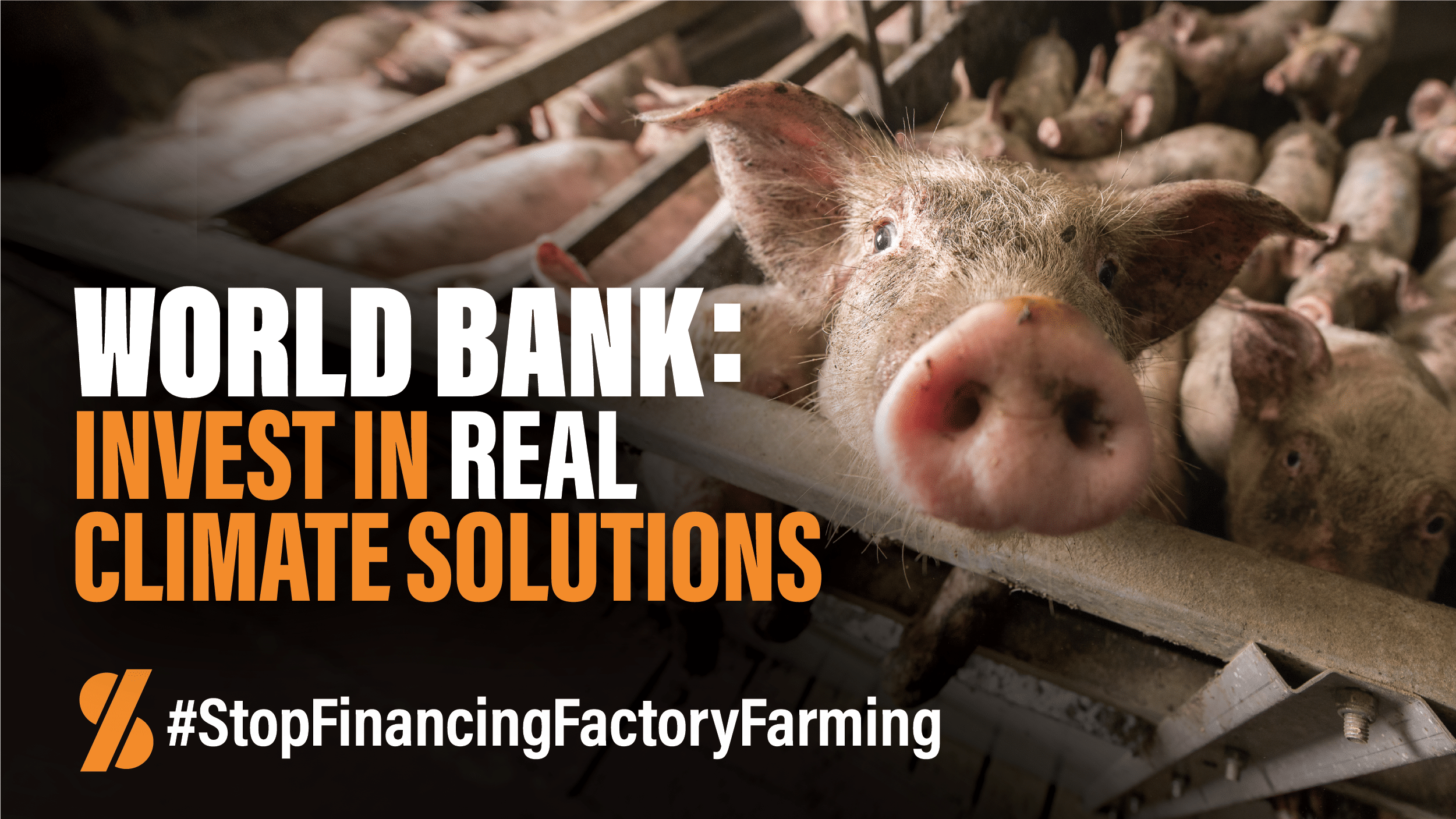 Groups Demand World Bank Shift Lending away from Industrial Animal Agriculture Groups Demand World Bank Shift Lending away from Industrial Animal Agriculture - Vimarsana News