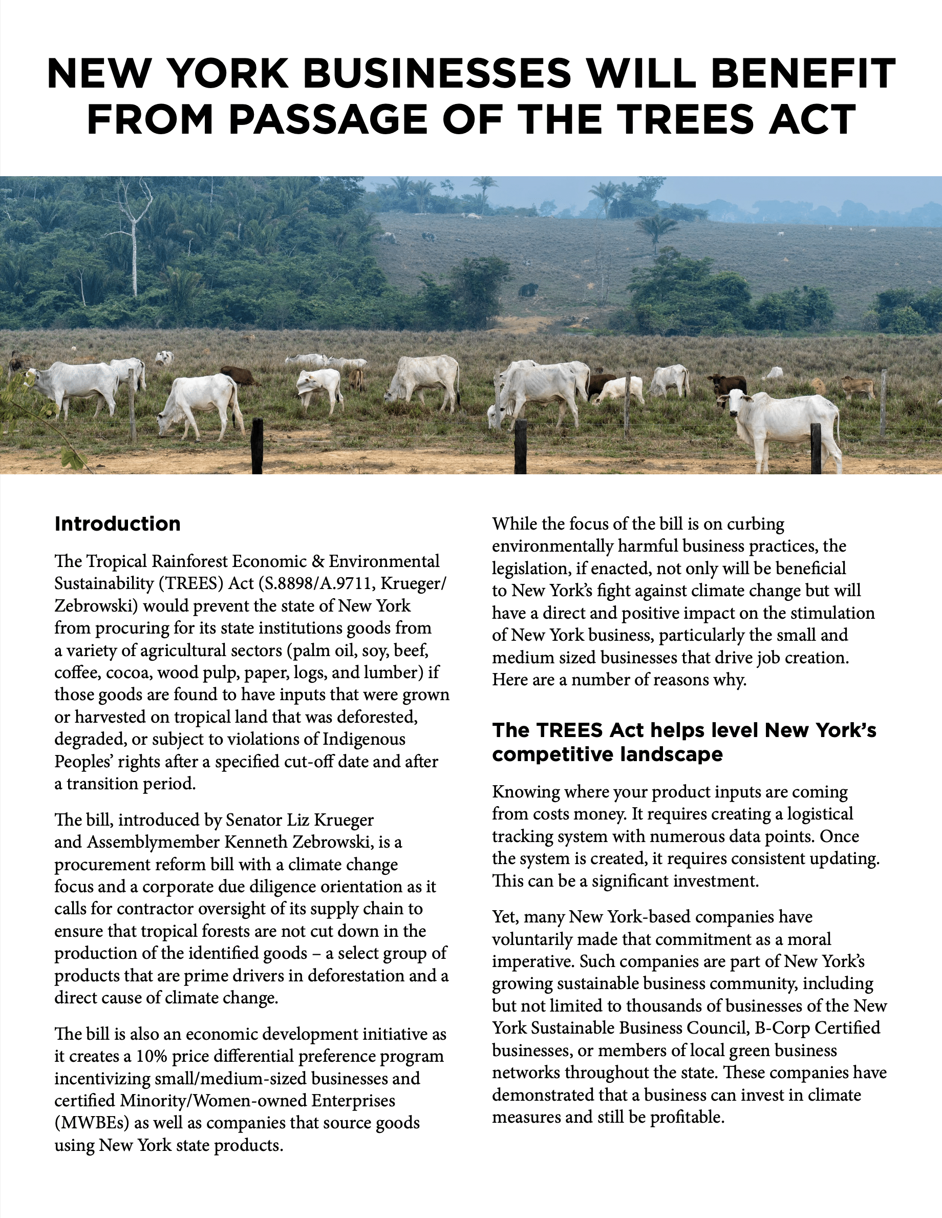 NY Deforestation Bill Fact Sheet