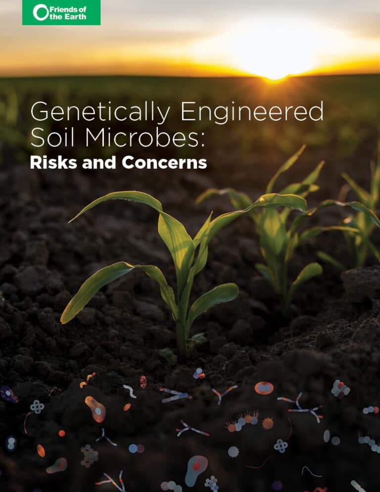 Genetically Engineered Soil Microbes: Risks and Concerns • Friends of ...