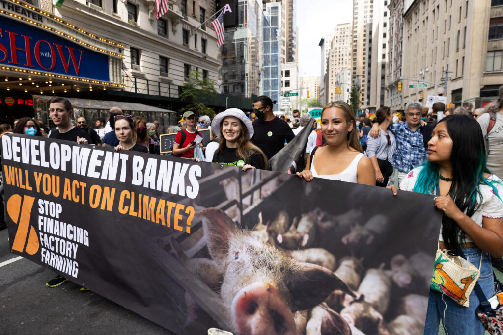 stop factory farm financing climate march