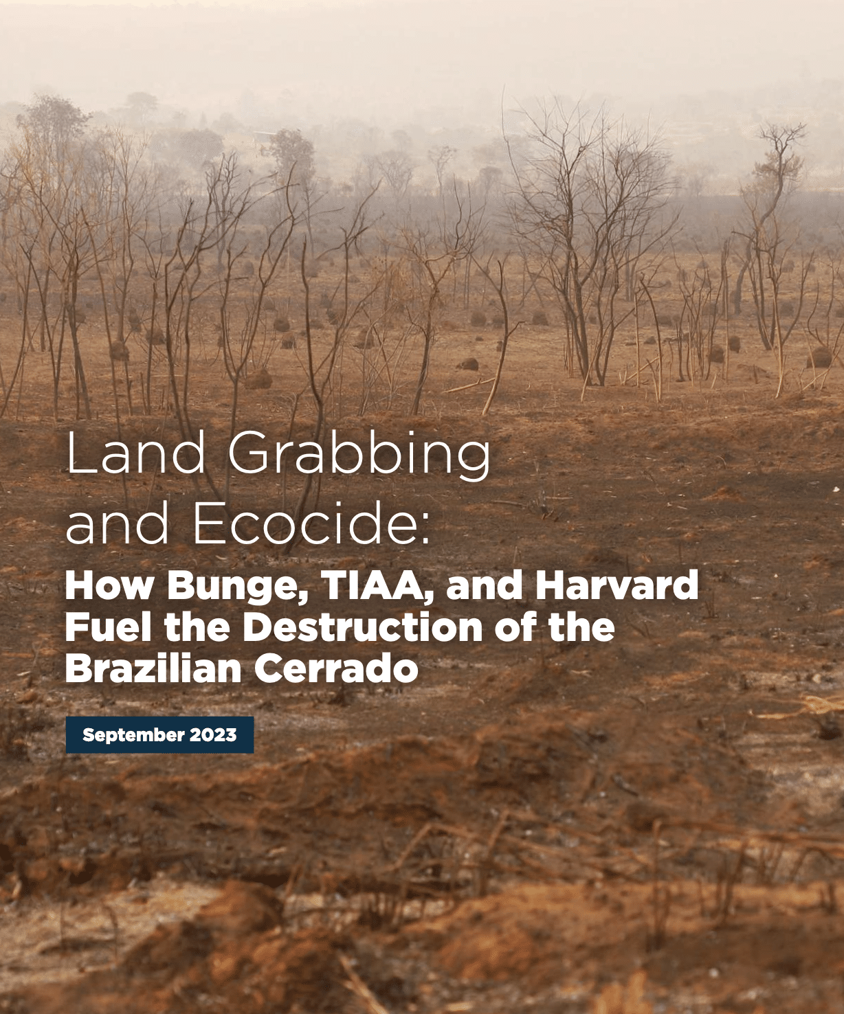 Land Grabbing and Ecocide: How Bunge, TIAA, and Harvard Fuel the Destruction of the Brazilian Cerrado