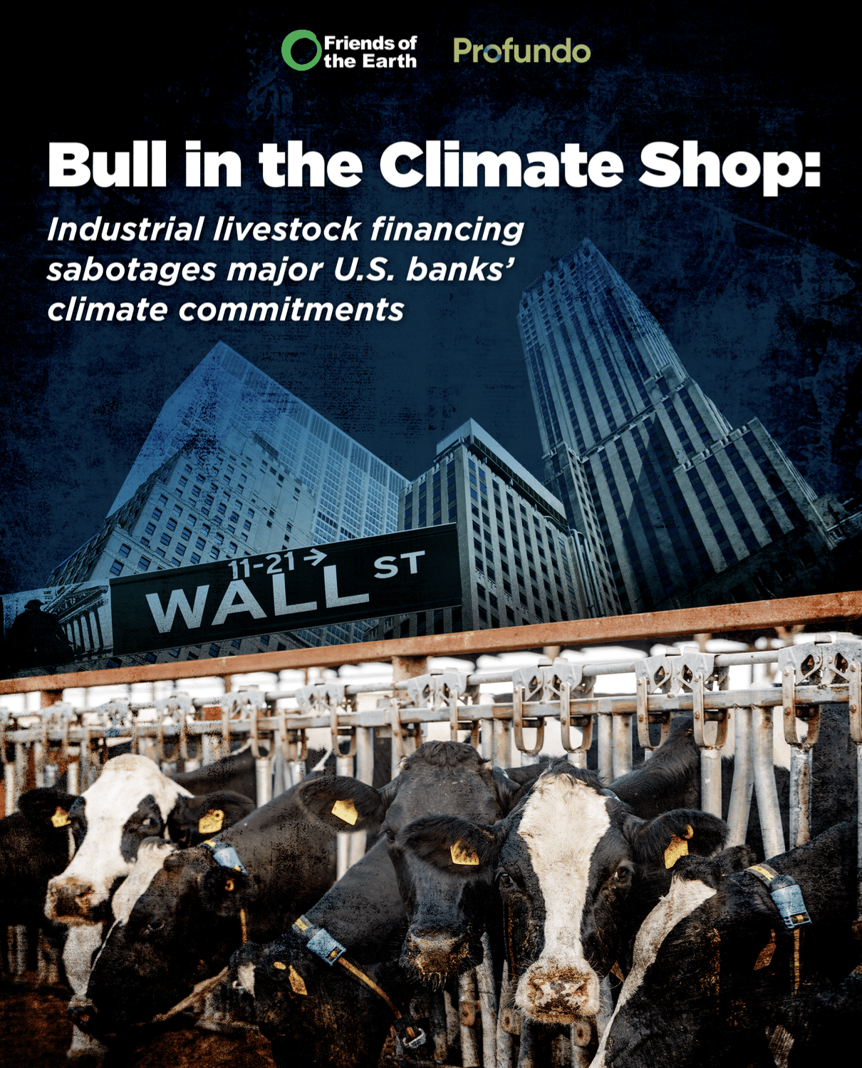 Bull in the Climate Shop