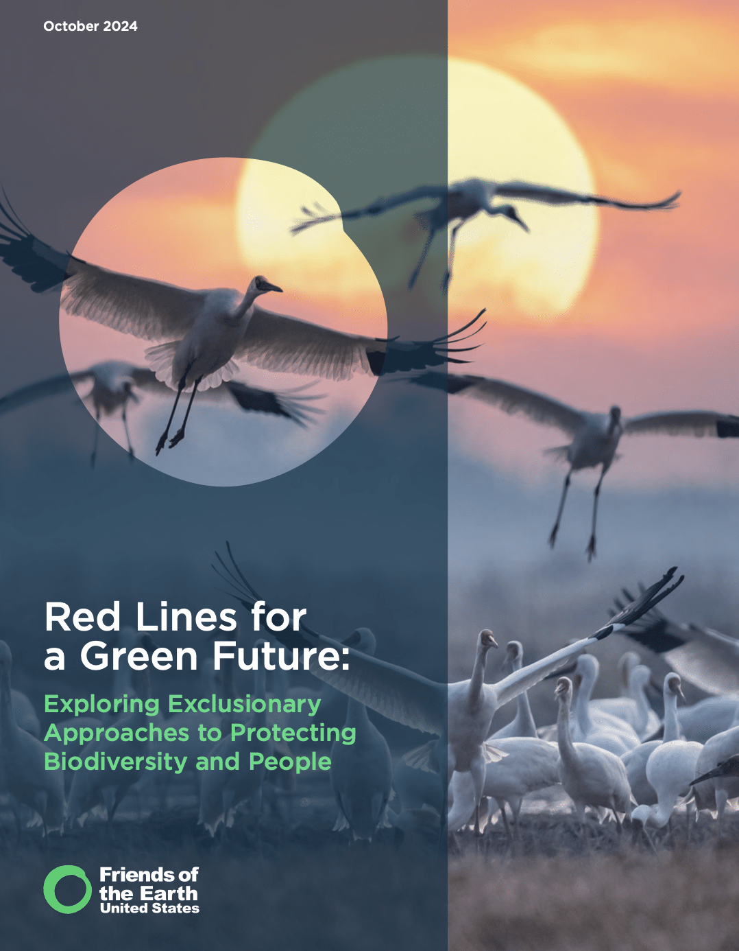 Red Lines for a Green Future: Exploring Exclusionary Approaches to Protecting Biodiversity and People