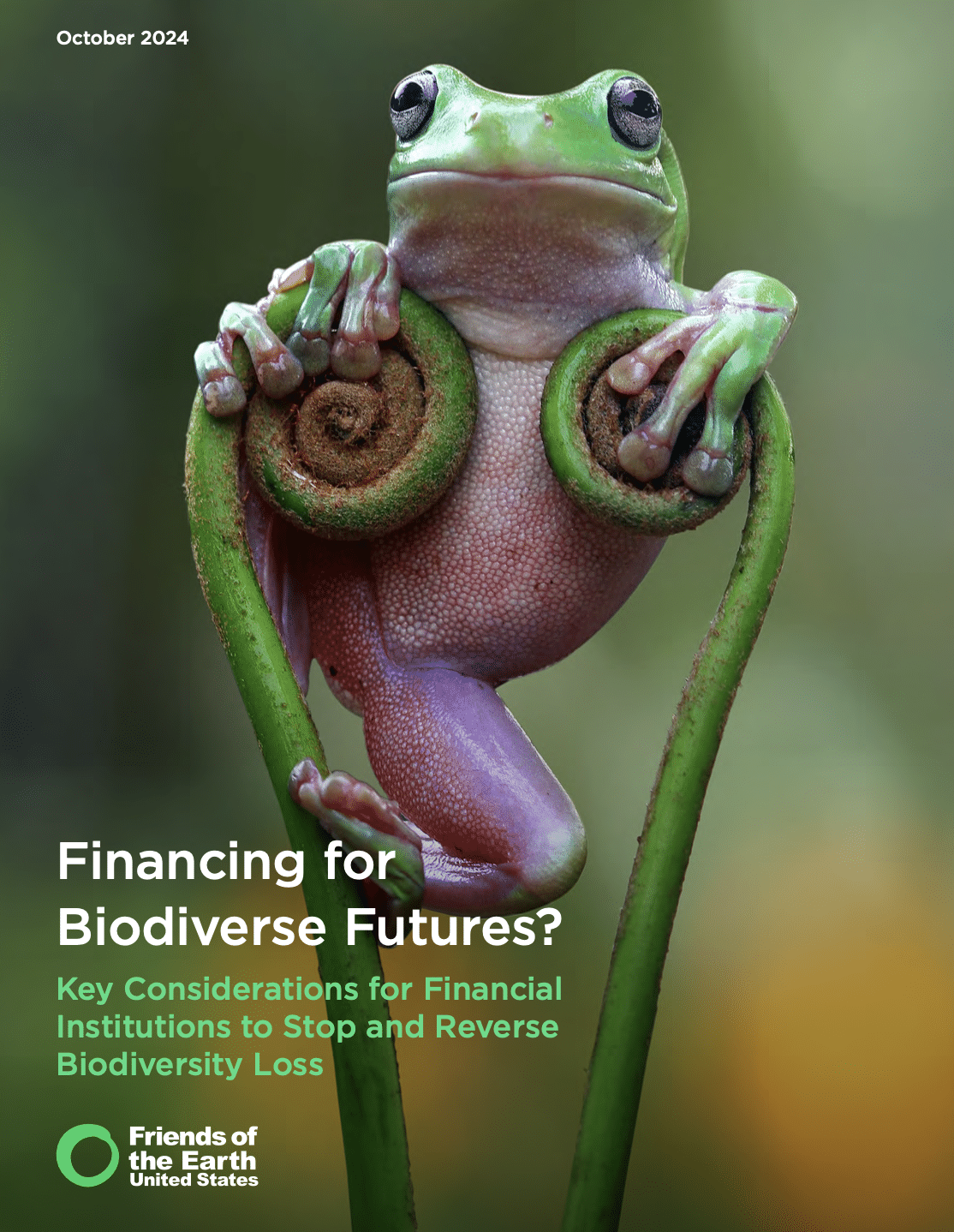 Financing for Biodiverse Futures? Key Considerations for Financial Institutions to Stop and Reverse Biodiversity Loss