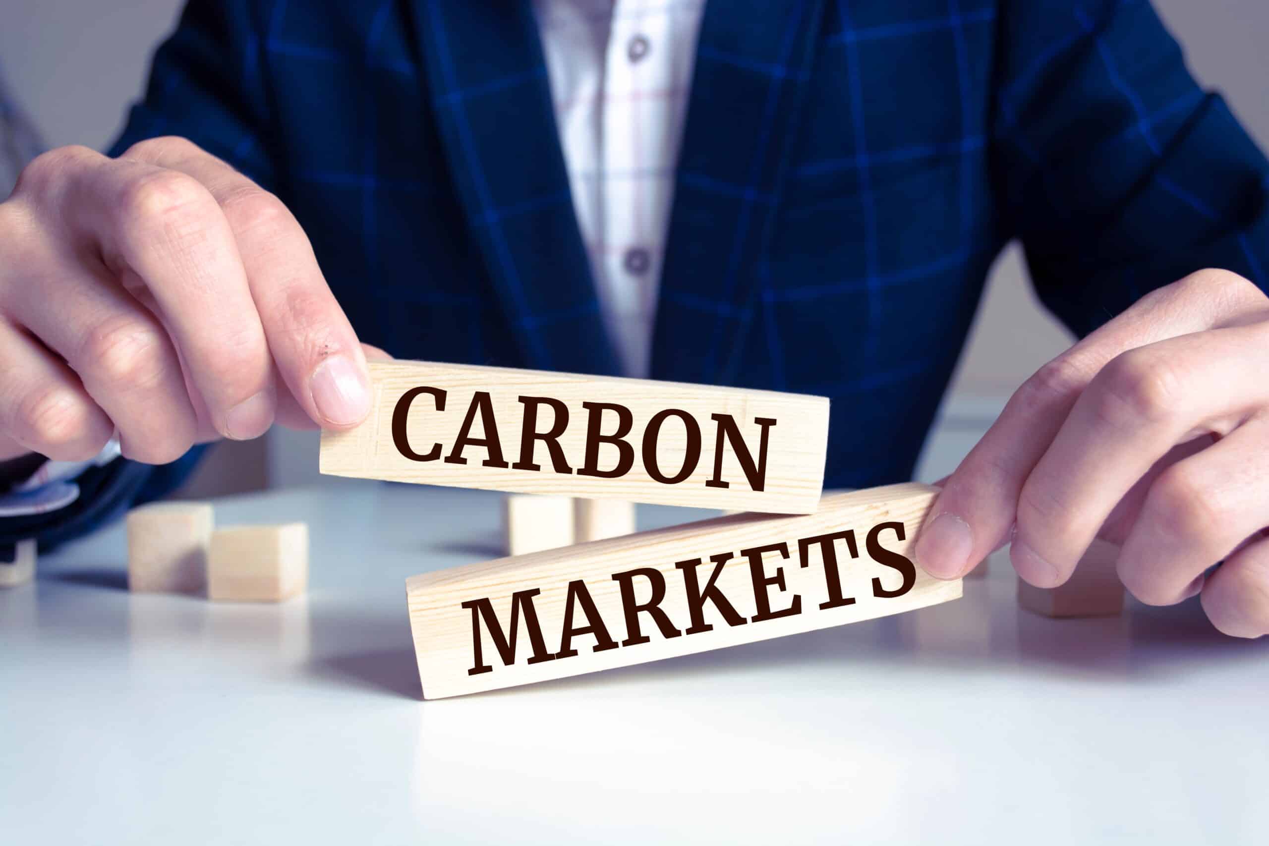 Defining Carbon Markets and Offsets 