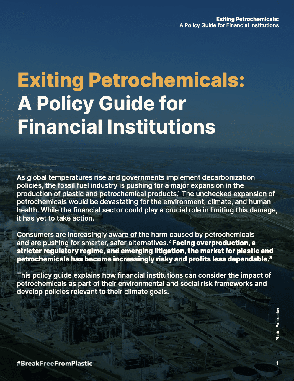 Exiting Petrochemicals: A Policy Guide for Financial Institutions