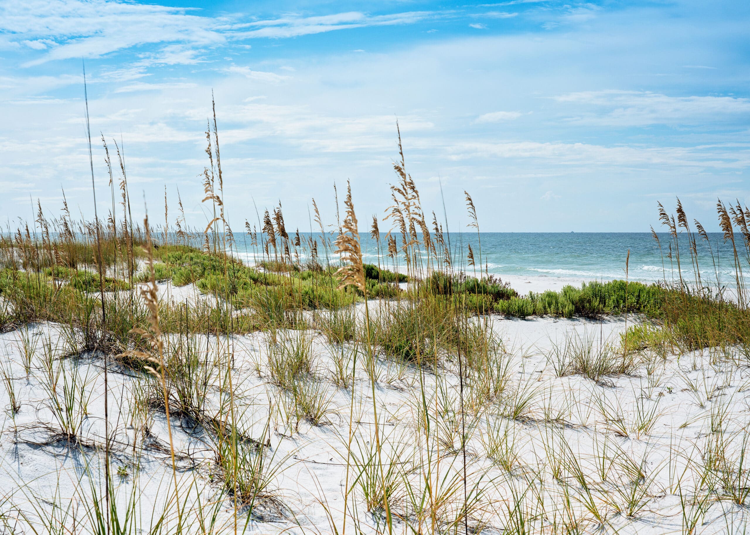 May contain beach grass on a sandy dune overlooking the ocean under a blue sky.