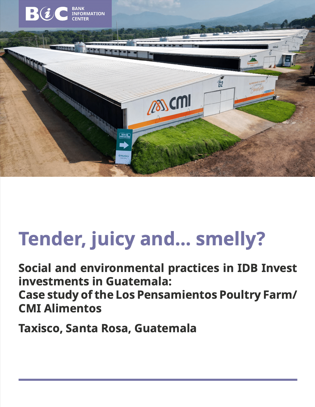 Social and Environmental Practices in IDB Invest Investments in Guatemala