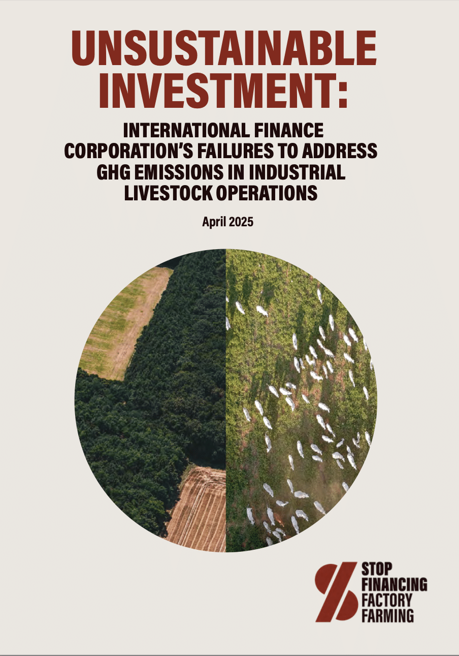 Unsustainable Investment