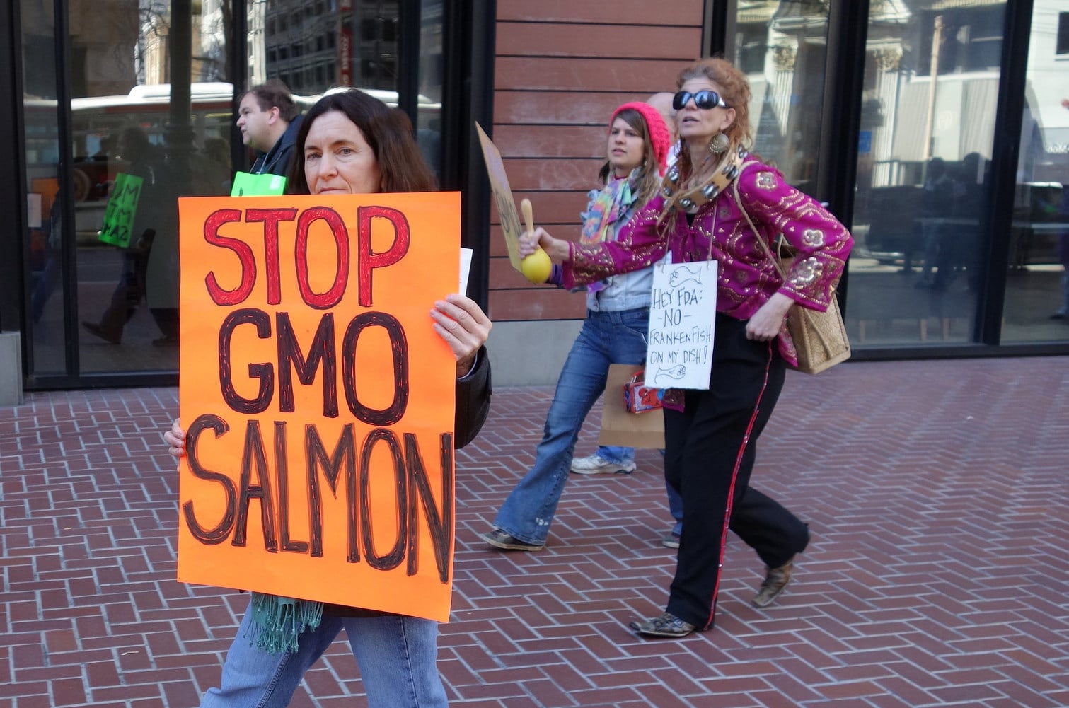 STOP GMO SALMON Protesters
