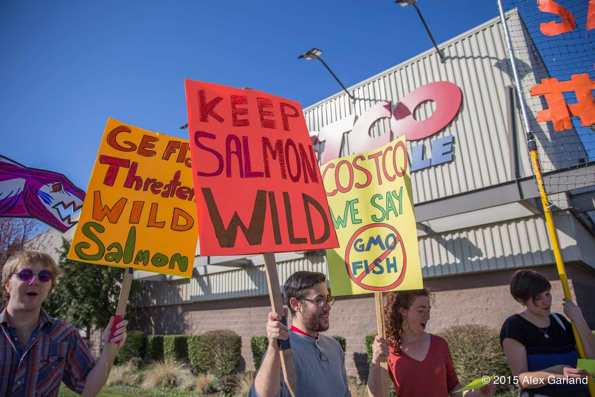 Costco Salmon Protesters with Signs