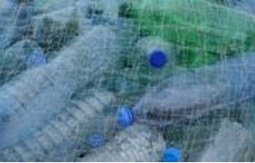 Plastic bottles tangled in fishing net.
