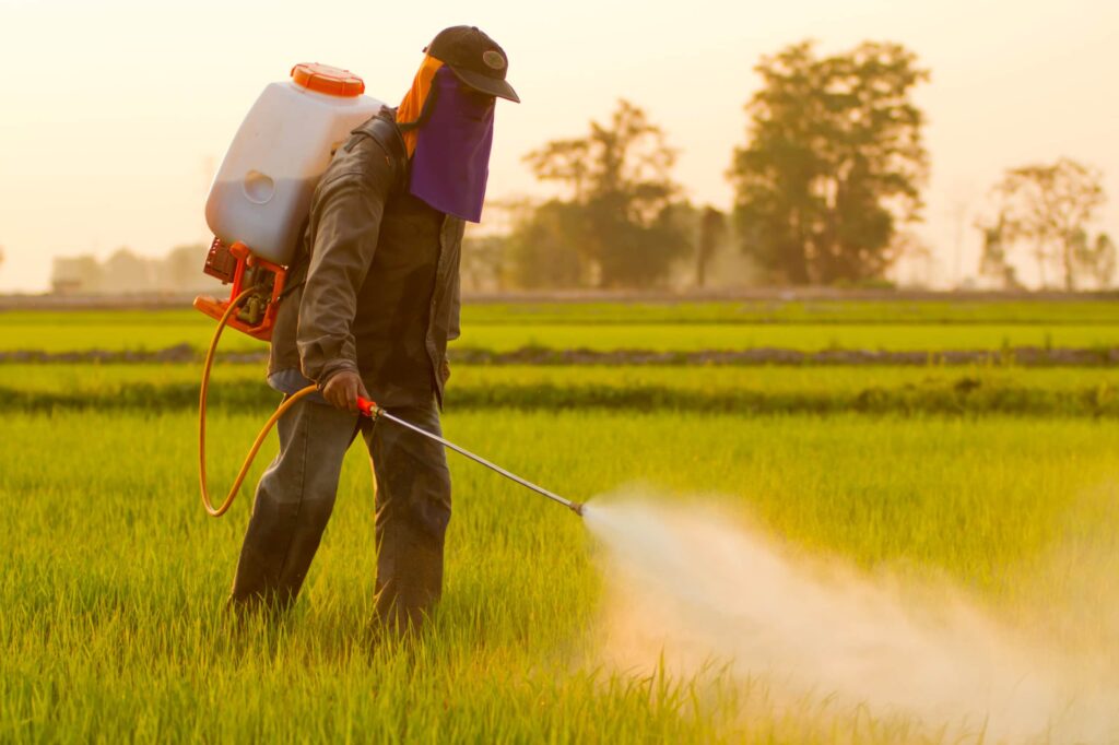 Worker Spray Chemicals on Crops at the Golden Hour