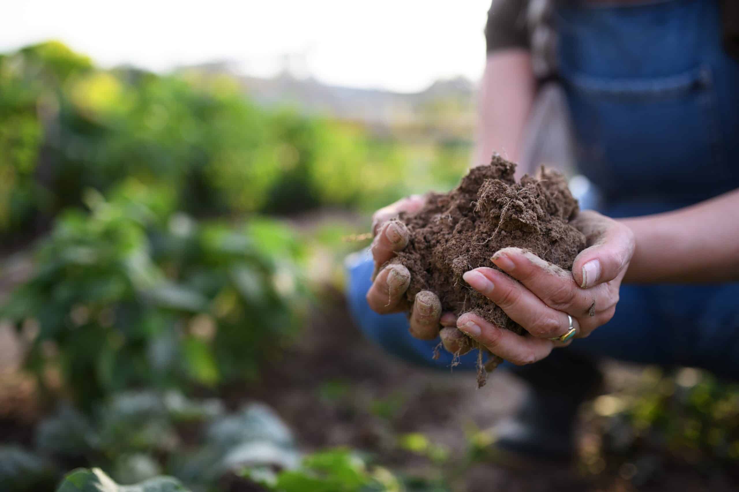 What are the Benefits of Regenerative Agriculture?