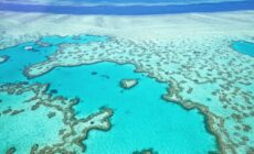 Protecting our oceans from pollution 