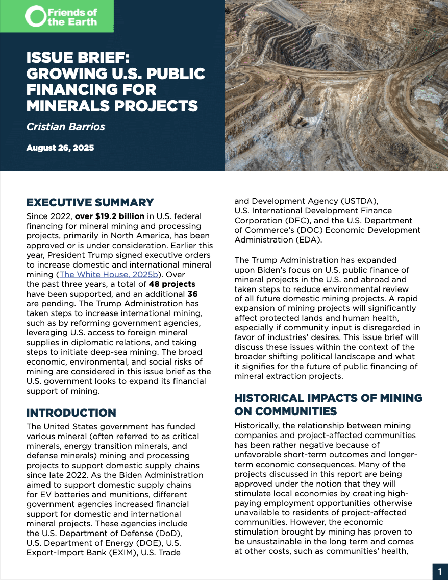 Issue Brief: Growing US Public Financing for Minerals Projects