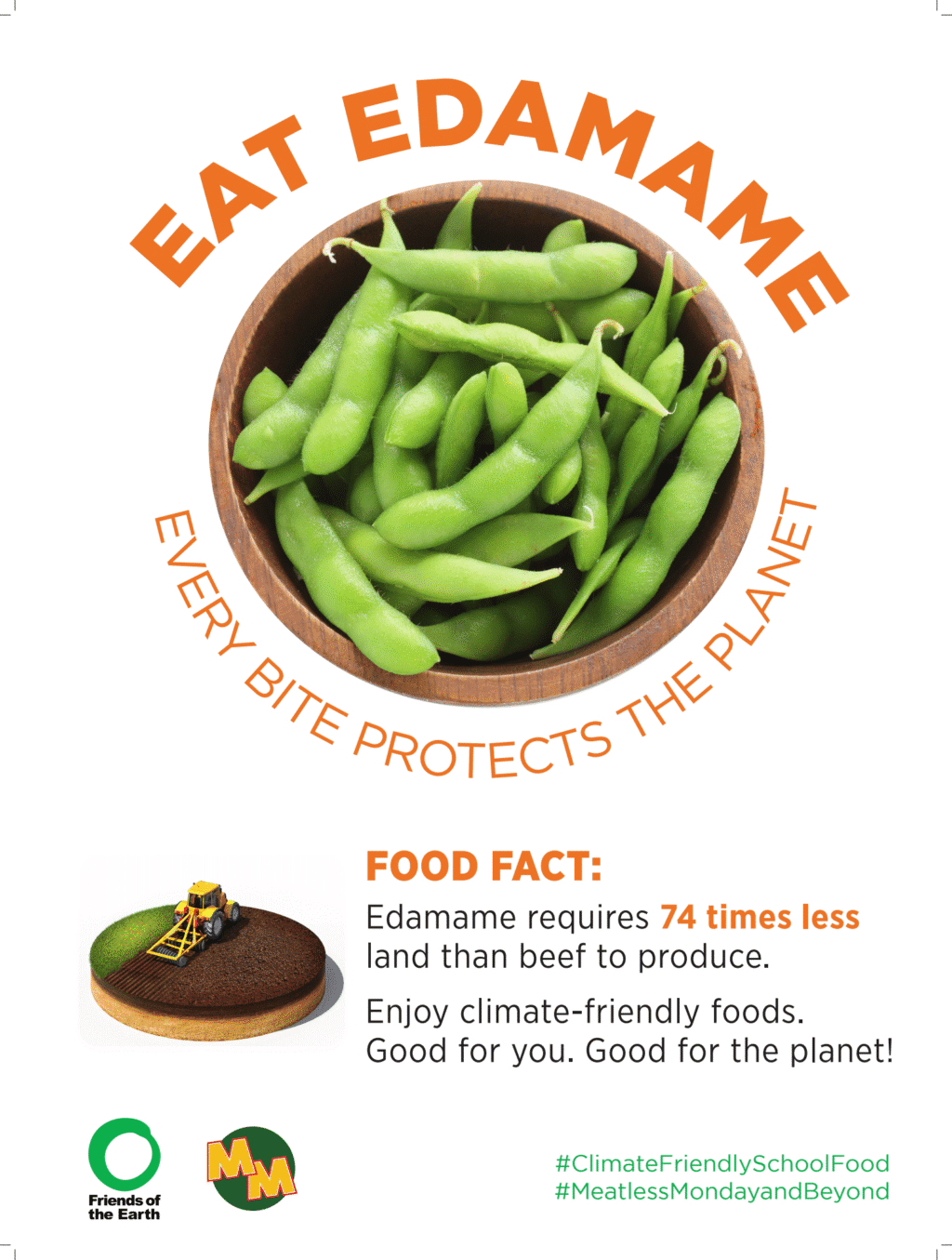 edamame explainer
