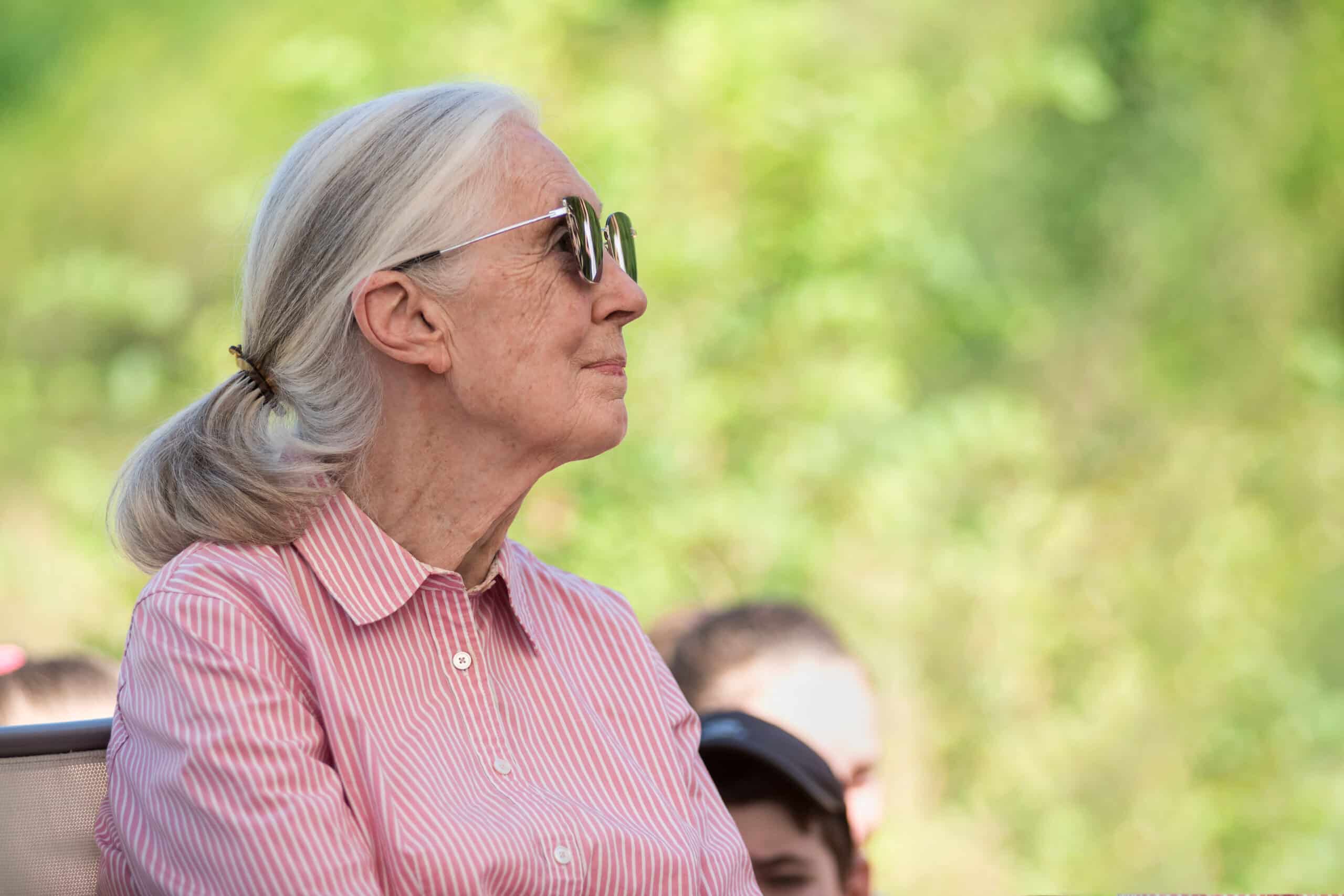 Today, the forest is quieter: On Jane Goodall’s Passing 