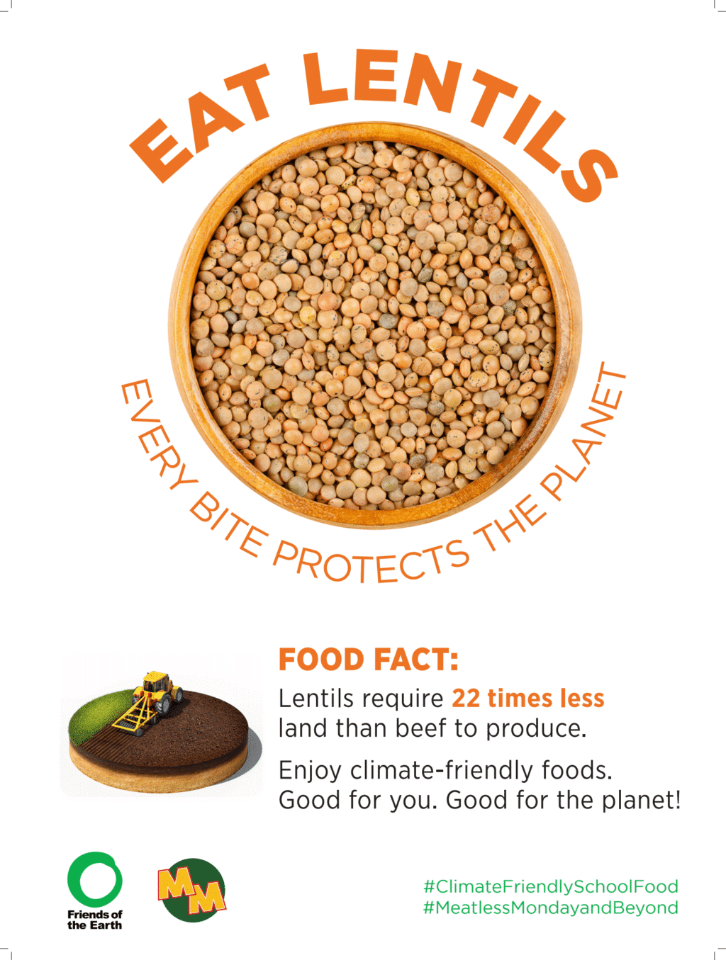 lentils explainer