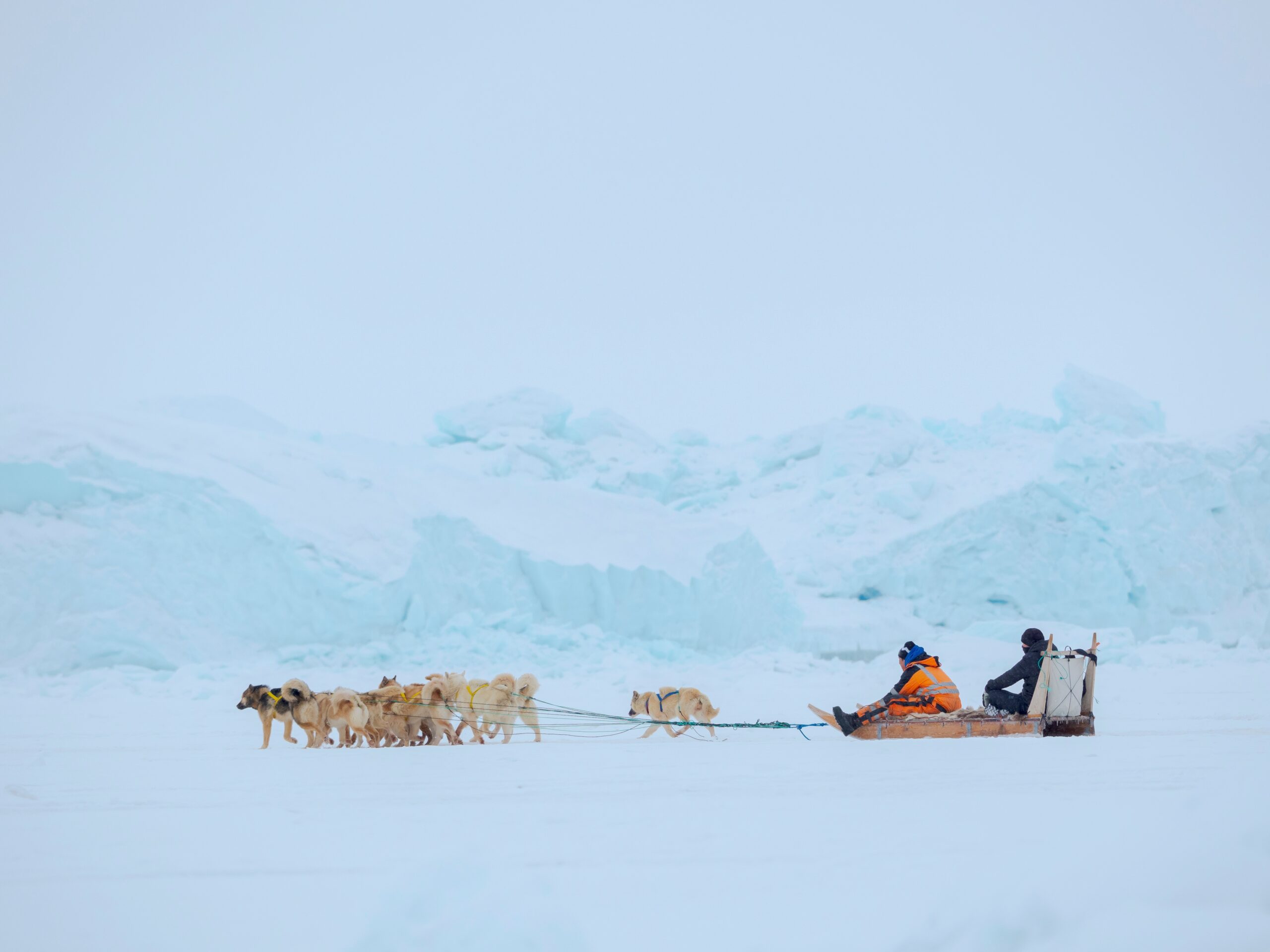 May contain two people on a dog sled team in an icy landscape.