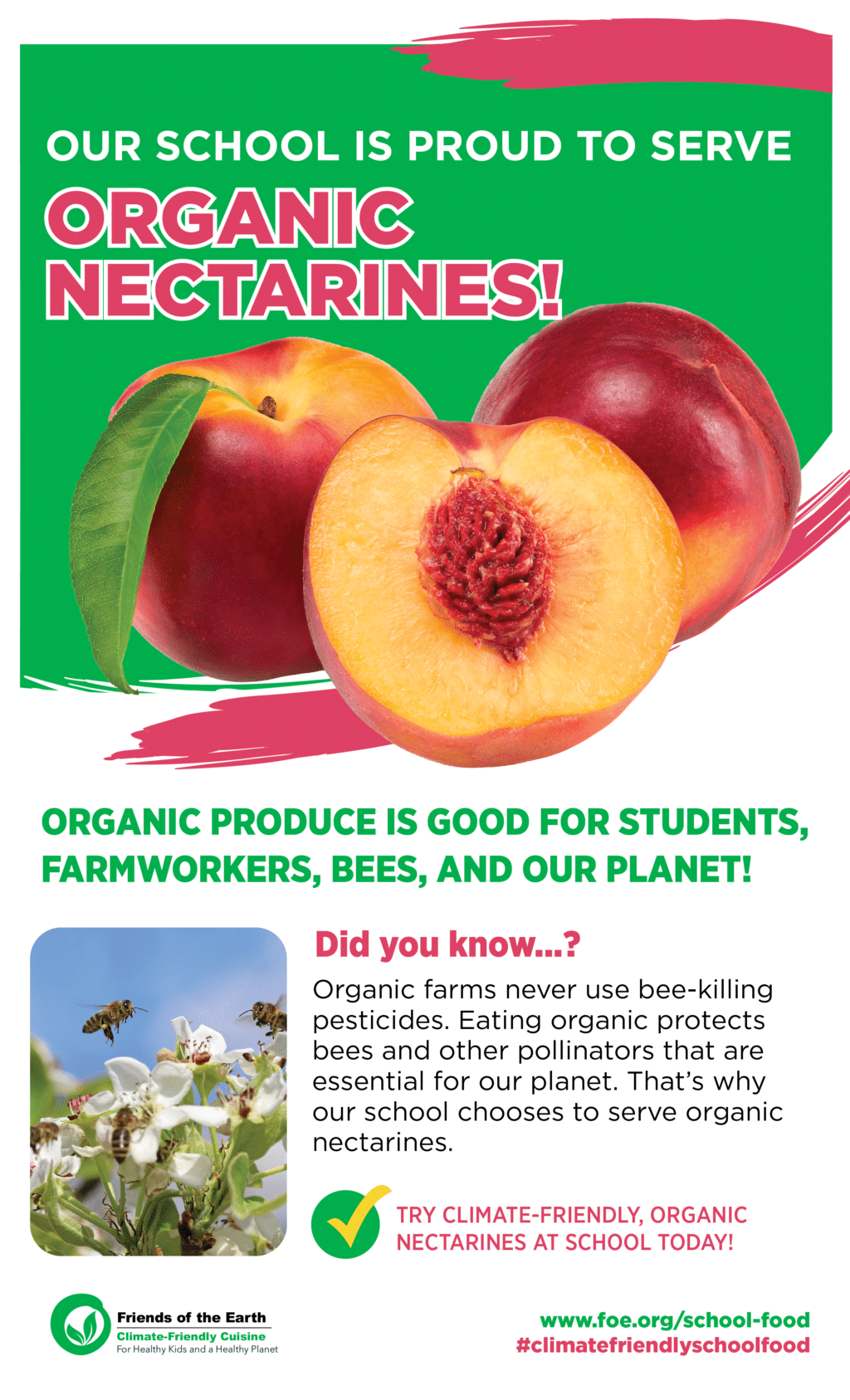 May contain three nectarines, two are whole and one is cut in half.