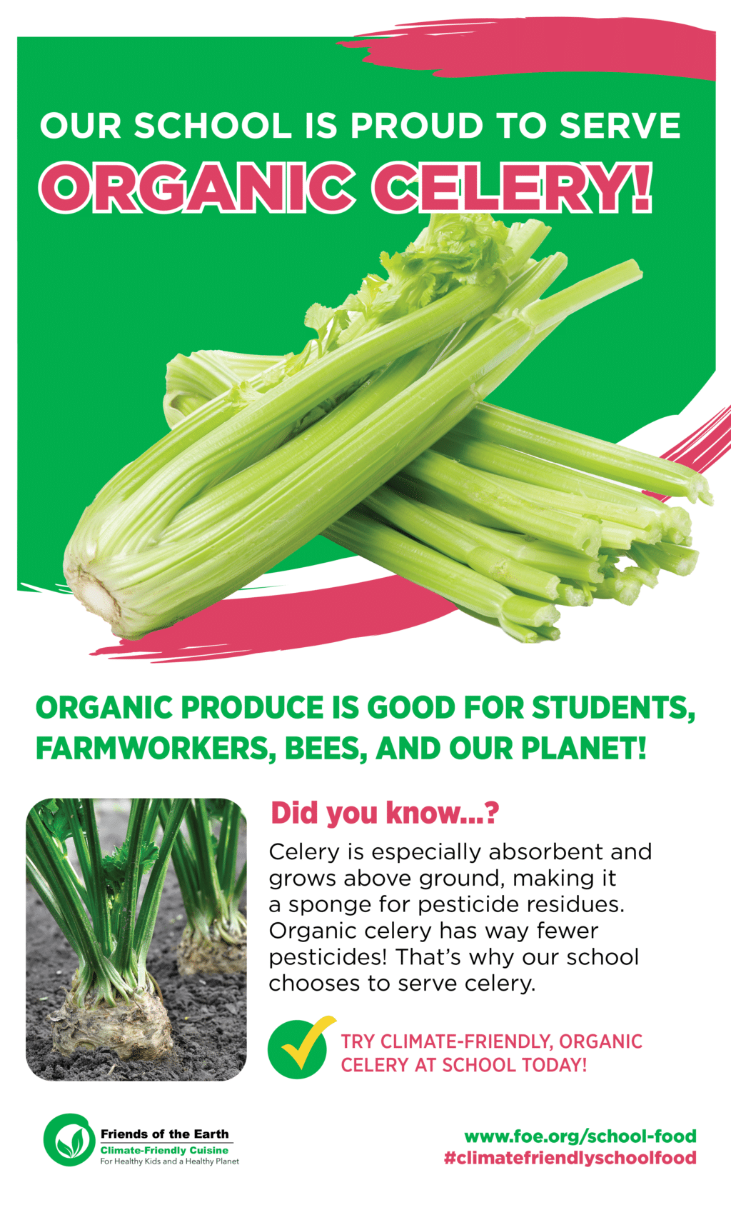 May contain a pile of organic celery stalks against a green background.