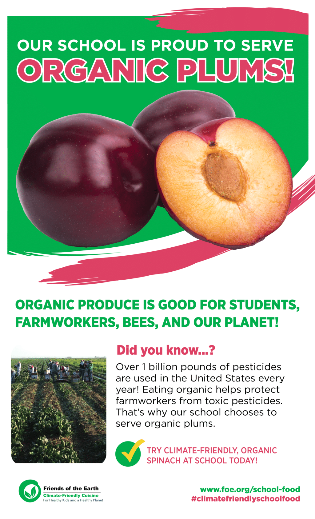 May contain three plums, one cut in half.