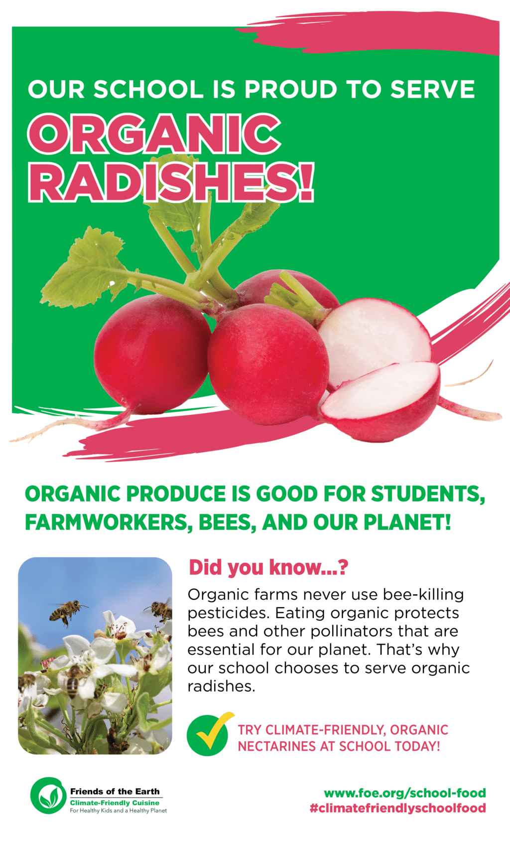 May contain radishes and bees in front of flowers.