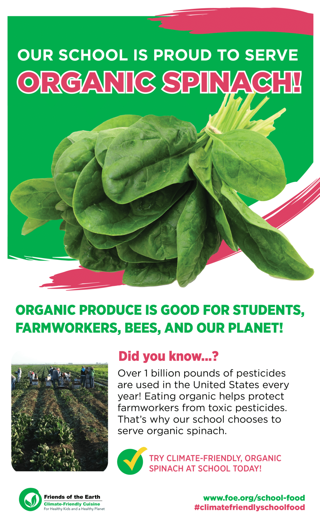 May contain a bunch of spinach and people working in a field.