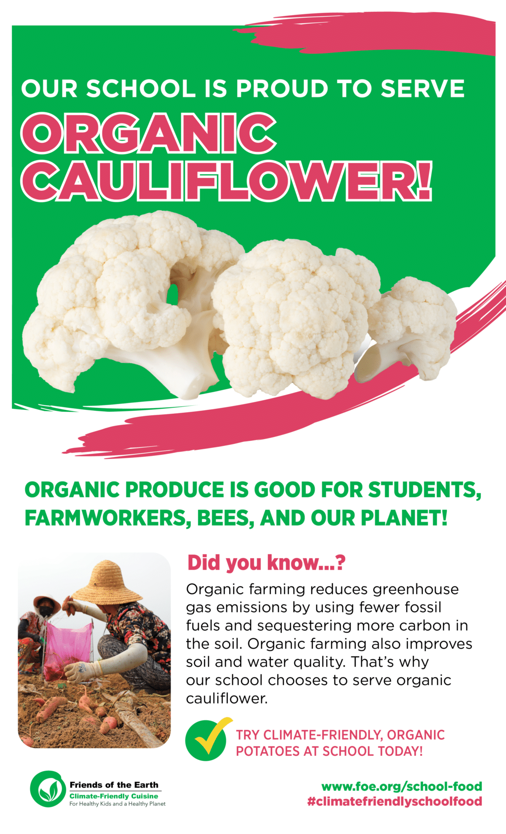 May contain three heads of cauliflower on a green background.