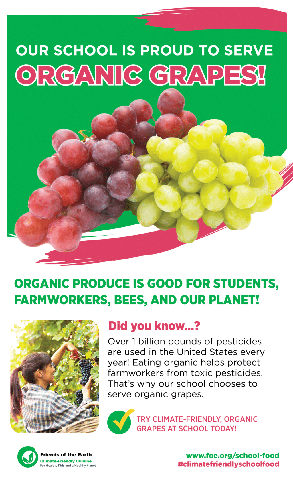 May contain two bunches of grapes, one red, one green.