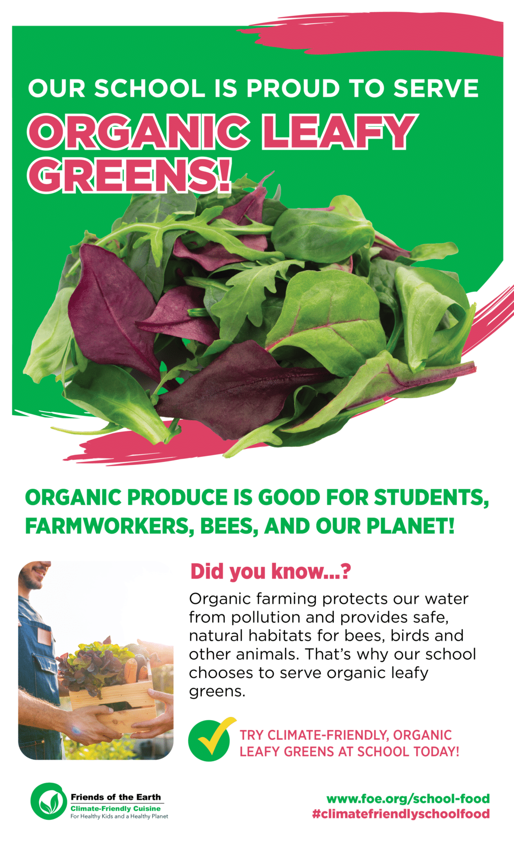 May contain a pile of organic leafy greens.