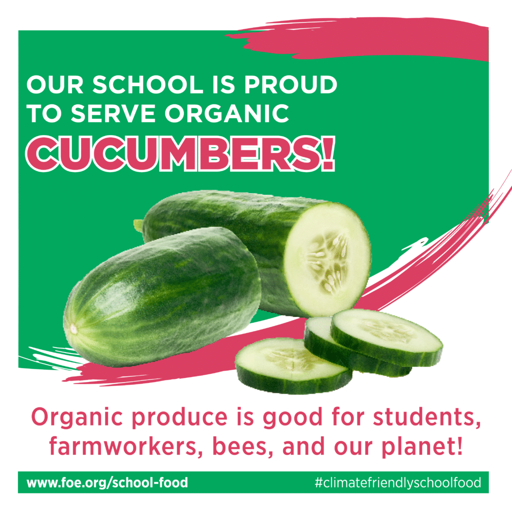 May contain three cucumbers, one whole and two sliced.