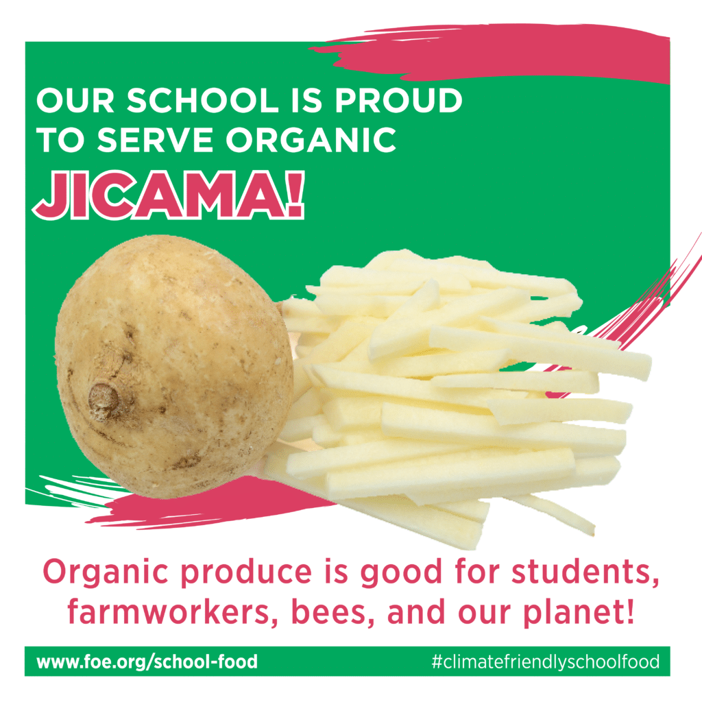 May contain a whole jicama and jicama fries.