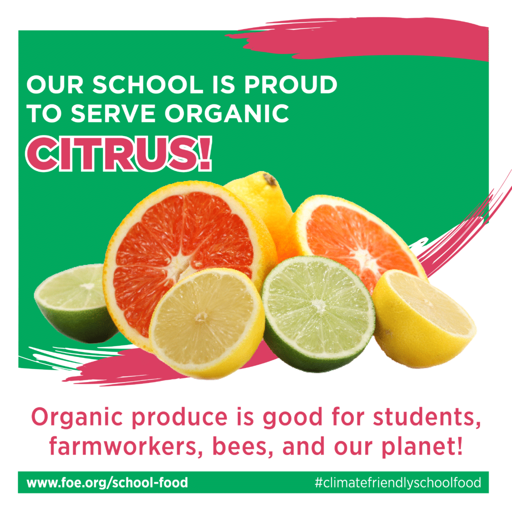 May contain several citrus fruit slices: grapefruit, lemon, and lime.