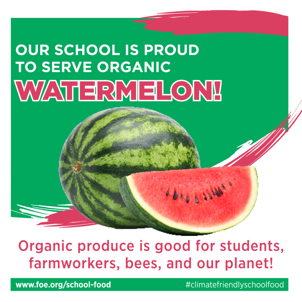 May contain a whole watermelon and a slice of watermelon.